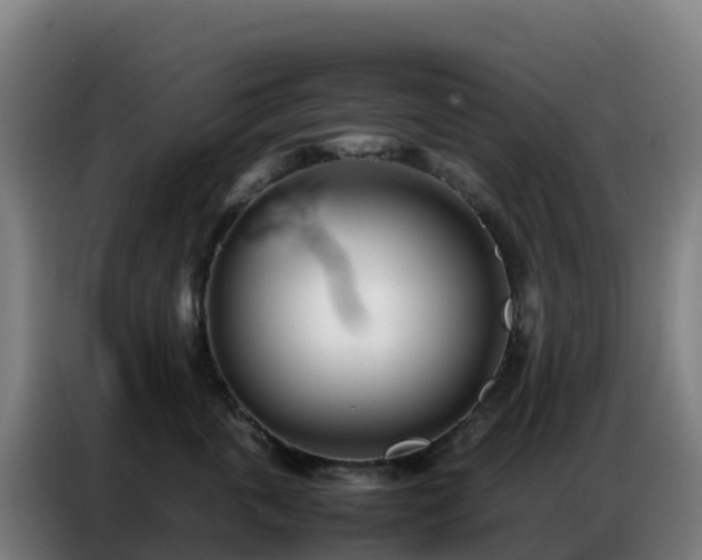 X0000086740763200704201705