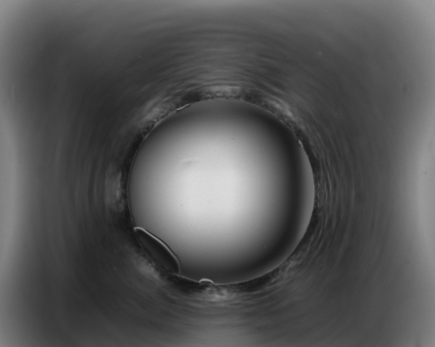 X0000086740764200704201705