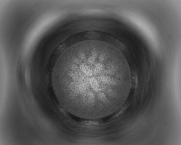 X0000086740765200704201705