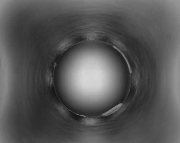 X0000086740766200704201705