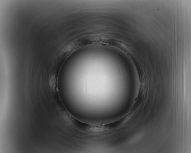 X0000086740767200704201705