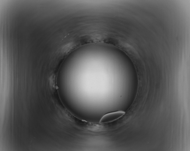 X0000086740768200704201705