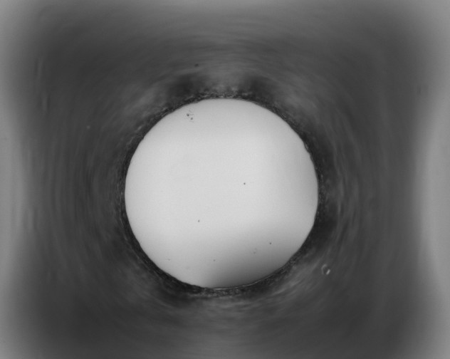 X0000086740769200704201705