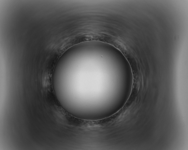 X0000086740770200704201705