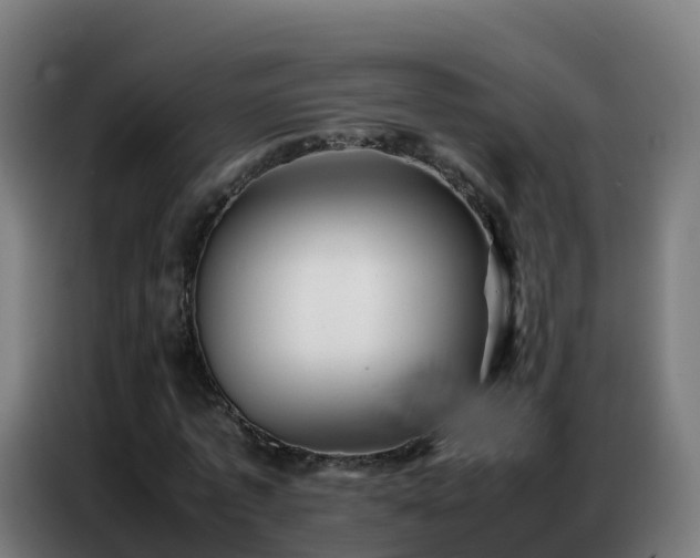 X0000086740773200704201705