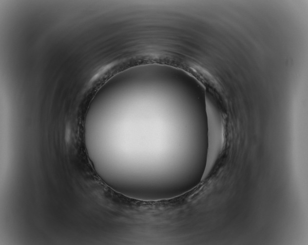 X0000086740776200704201705