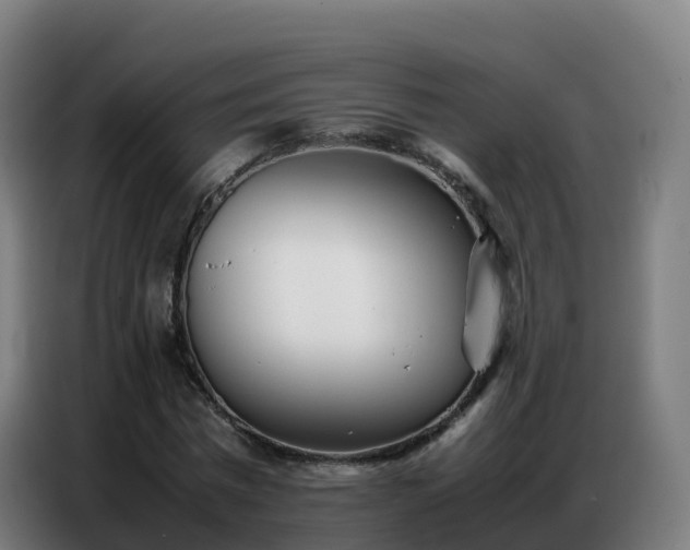 X0000086740777200704201705