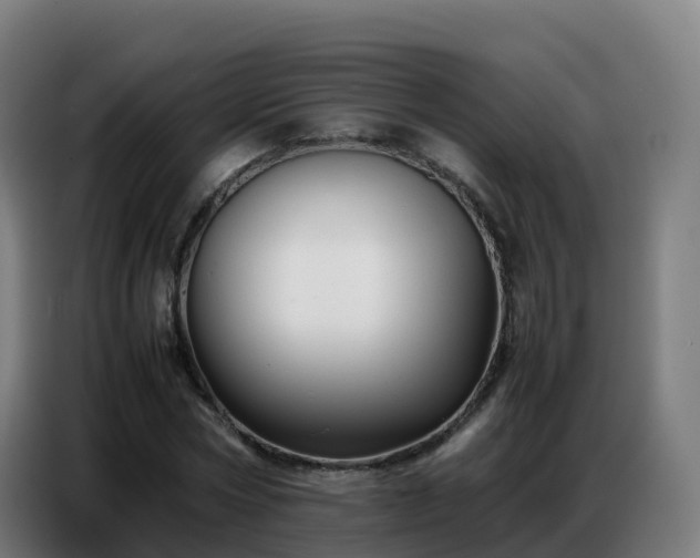 X0000086740778200704201705