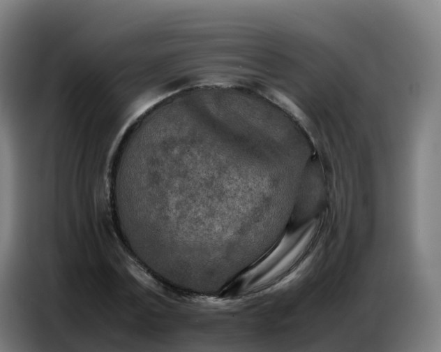 X0000086740779200704201705