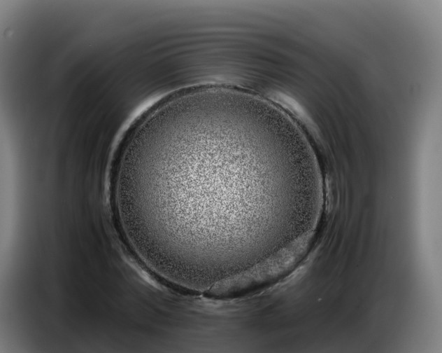 X0000086740780200704201705