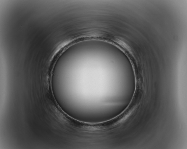 X0000086740781200704201705