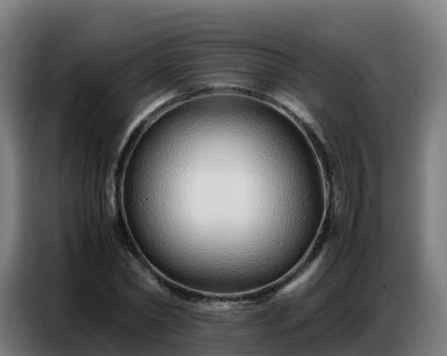 X0000086740782200704201705