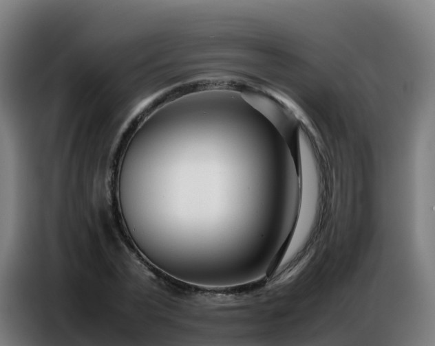 X0000086740783200704201705