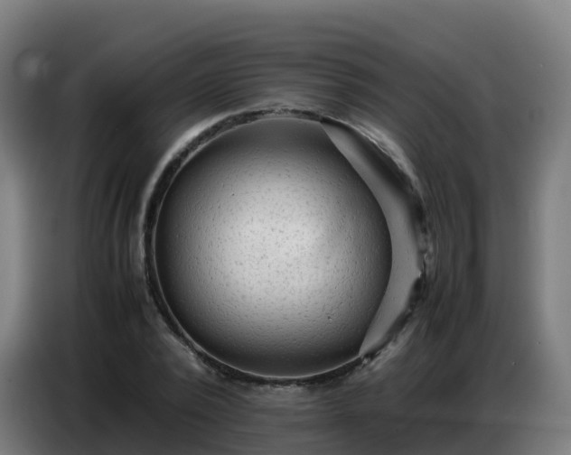 X0000086740784200704201705