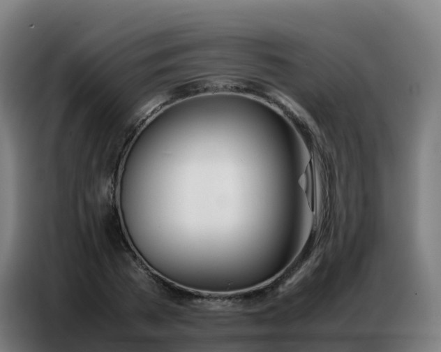 X0000086740785200704201705