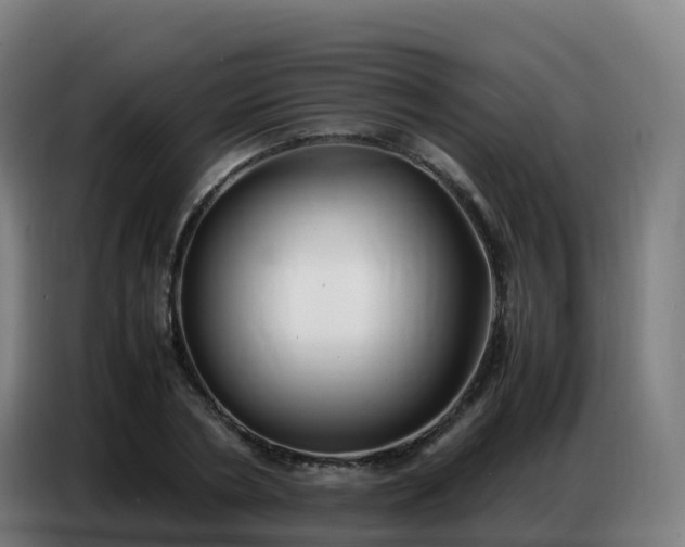 X0000086740786200704201705