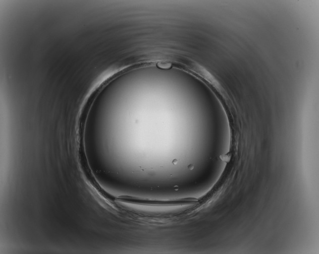 X0000086740787200704201705