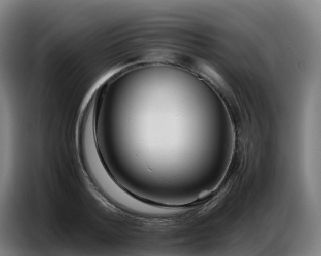 X0000086740788200704201705