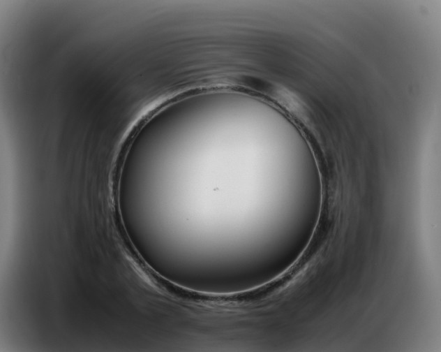 X0000086740789200704201705