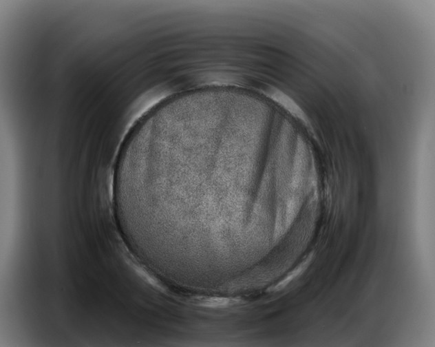 X0000086740790200704201705