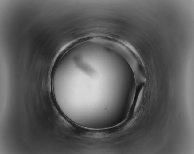 X0000086740791200704201705