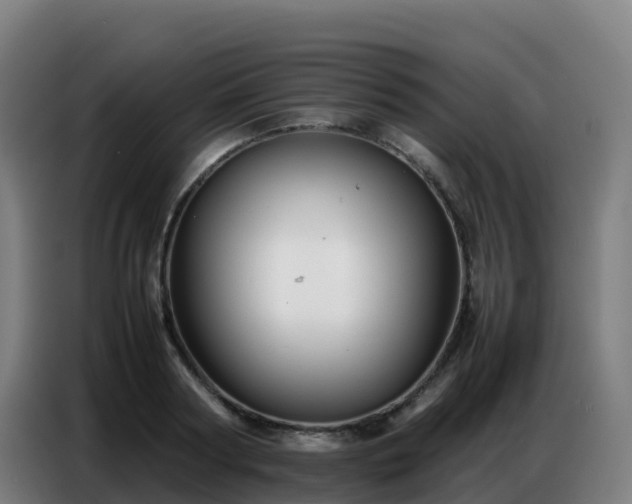 X0000086740794200704201705