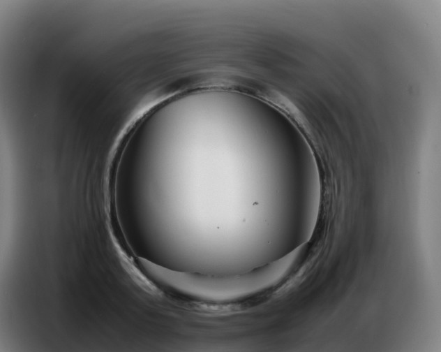 X0000086740795200704201705