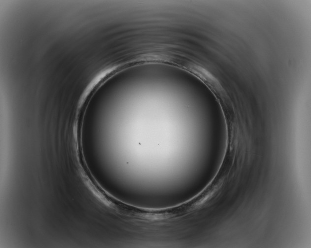 X0000086740796200704201705