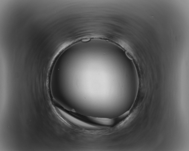 X0000086740797200704201705