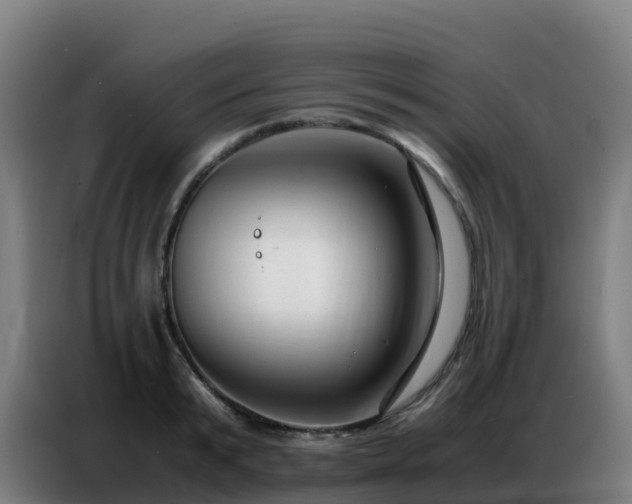 X0000086740799200704201704