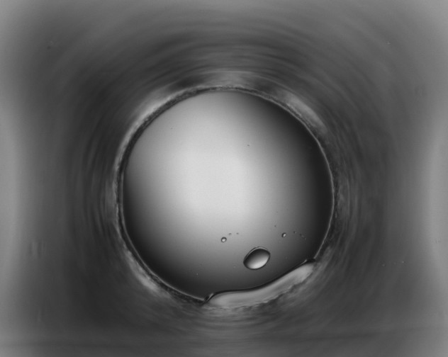 X0000086740800200704201704
