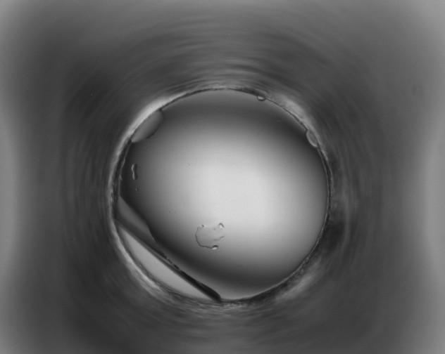 X0000086740803200704201704