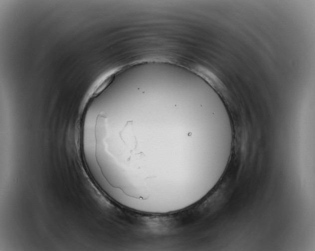 X0000086740804200704201704