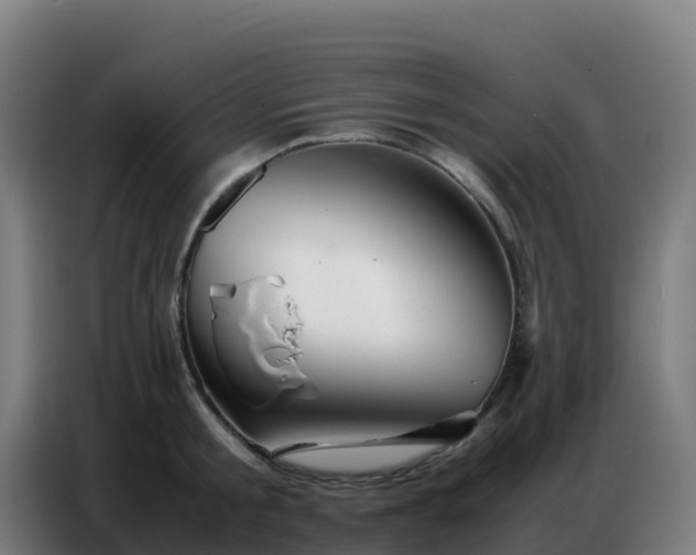 X0000086740805200704201704