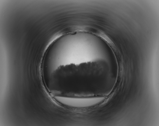 X0000086740806200704201704