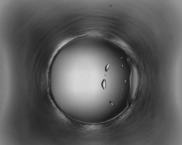X0000086740808200704201704