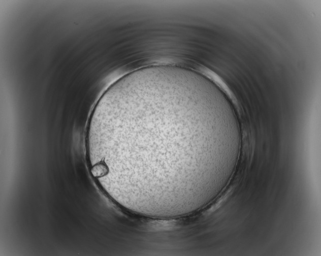 X0000086740810200704201704