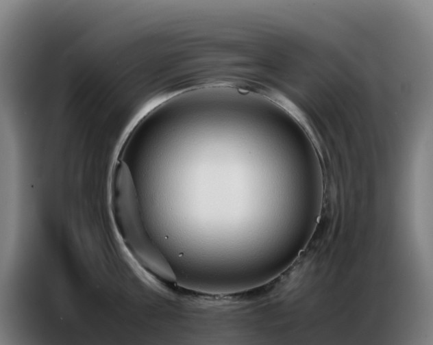 X0000086740811200704201704