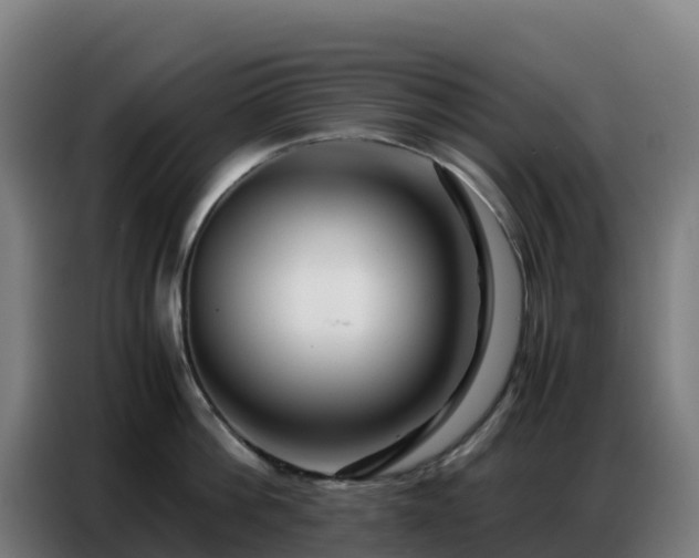 X0000086740812200704201704