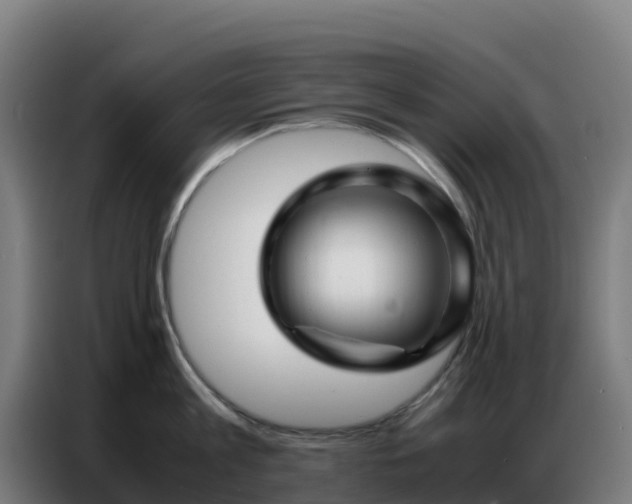 X0000086740813200704201704