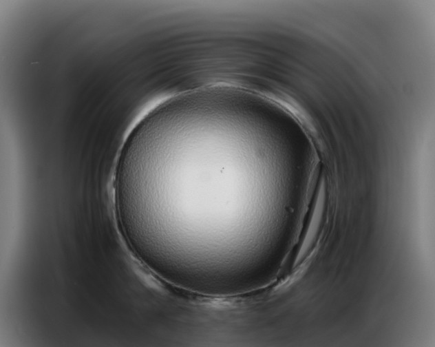 X0000086740814200704201704
