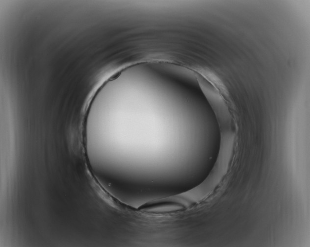 X0000086740816200704201704