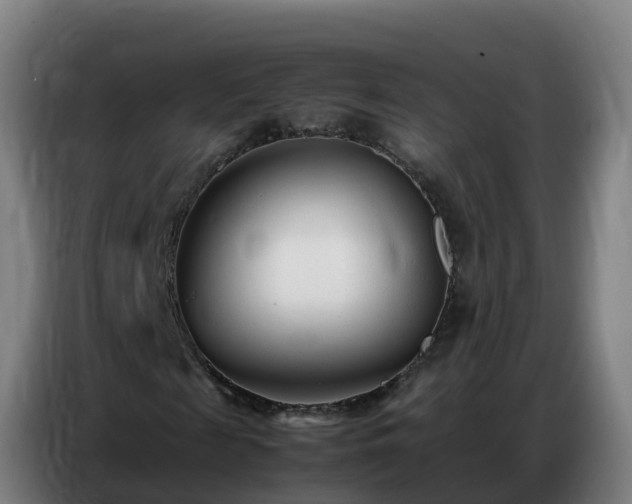 X0000086740817200704201704