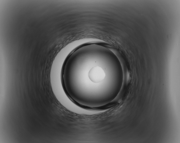 X0000086740818200704201704