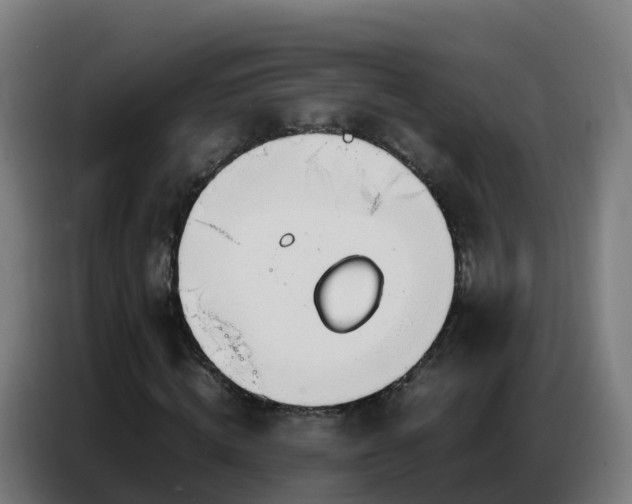 X0000086740820200704201704