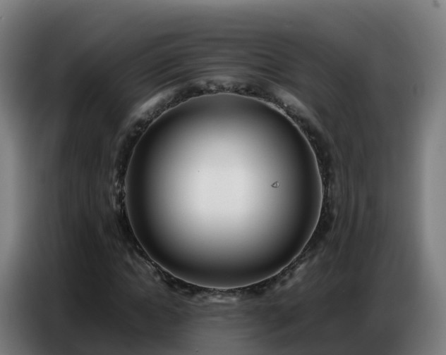 X0000086740822200704201704