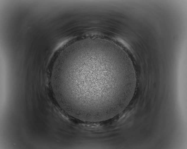 X0000086740823200704201704