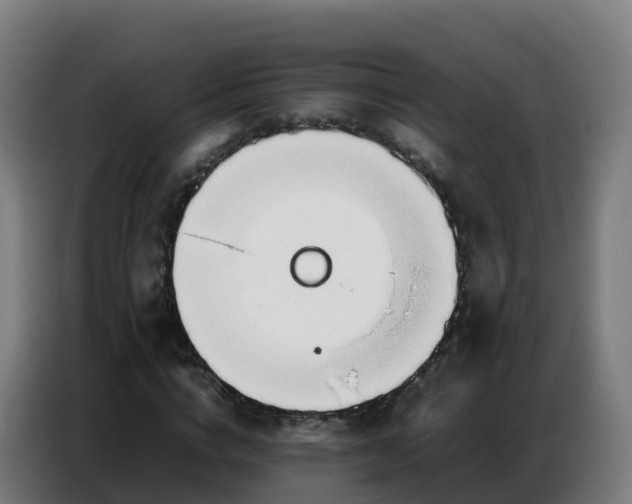 X0000086740824200704201704