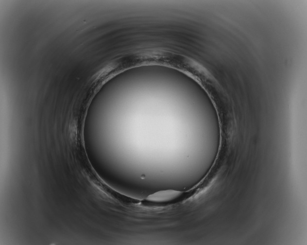 X0000086740825200704201704