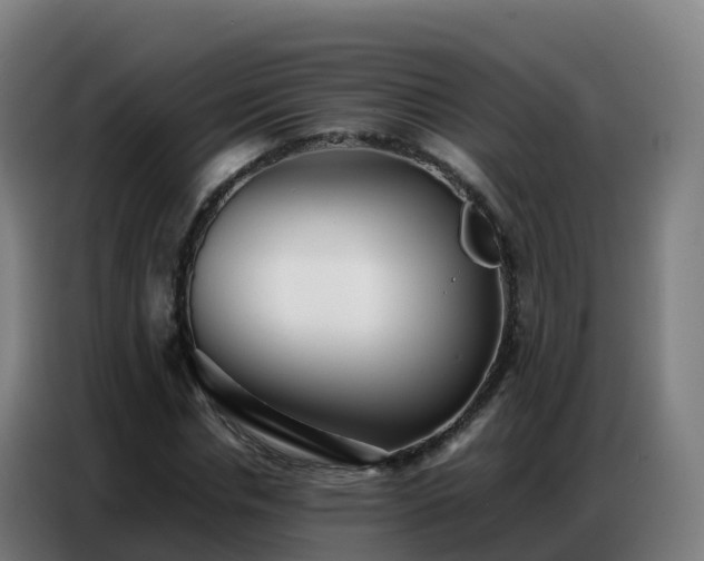 X0000086740826200704201704